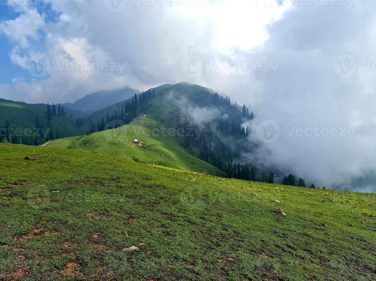 green valley covered with clouds photo