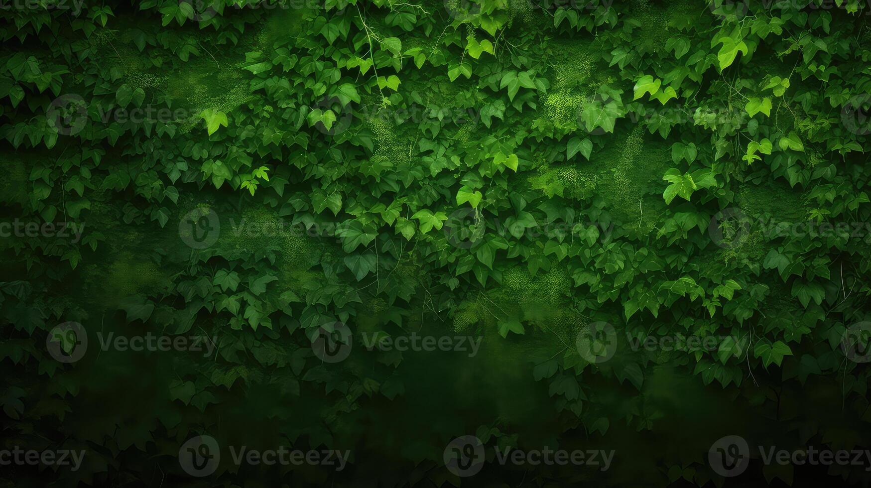 AI generated Green ivy wall texture background with copy space photo