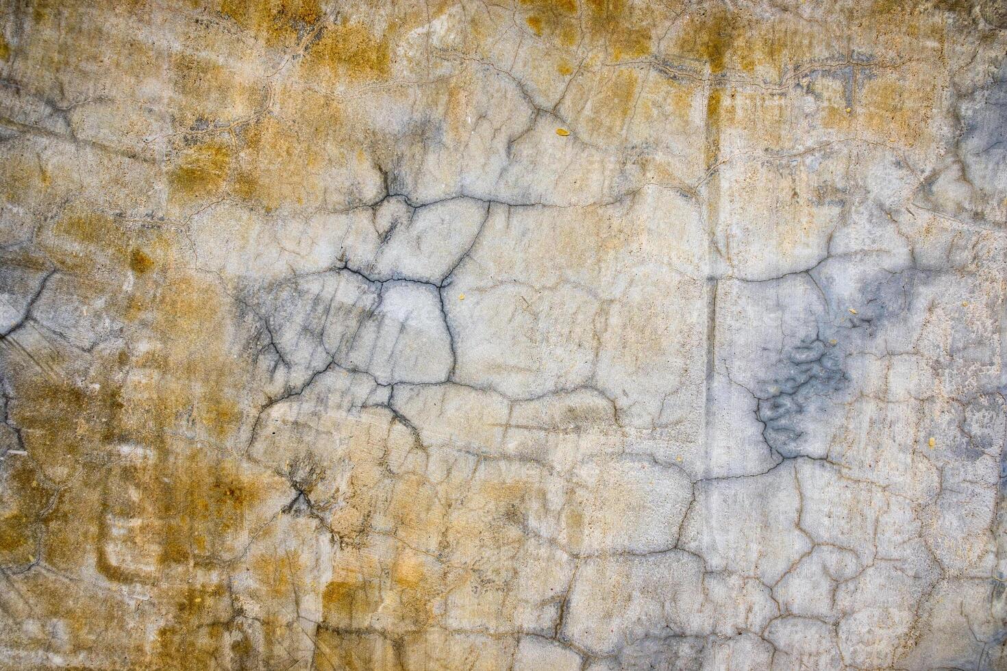 Gray concrete cement cracked texture photo