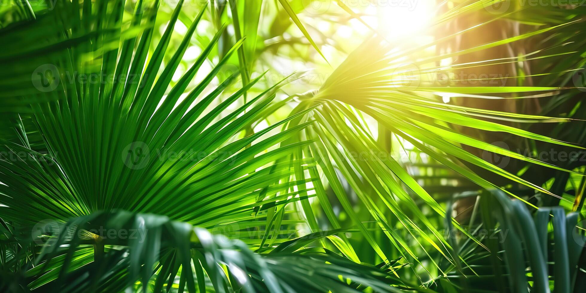 ai generado brillante luz de sol en un idílico verde palma jardín, tropical vegetación antecedentes bandera con Copiar espacio para viajar, Días festivos y vacaciones foto