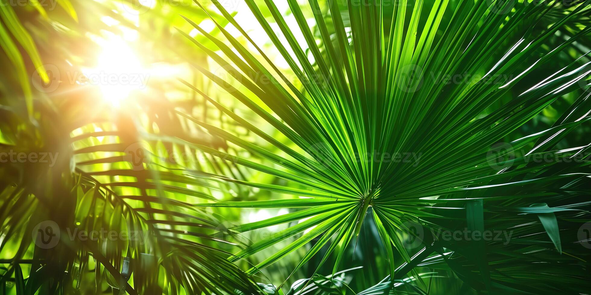 AI generated shiny sunlight in an idyllic green palm garden, tropical vegetation background banner with copy space for travel, holidays and vacation photo