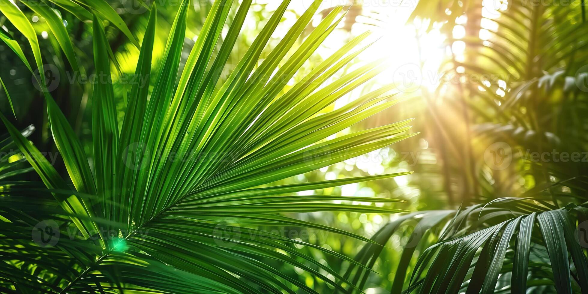 AI generated shiny sunlight in an idyllic green palm garden, tropical vegetation background banner with copy space for travel, holidays and vacation photo