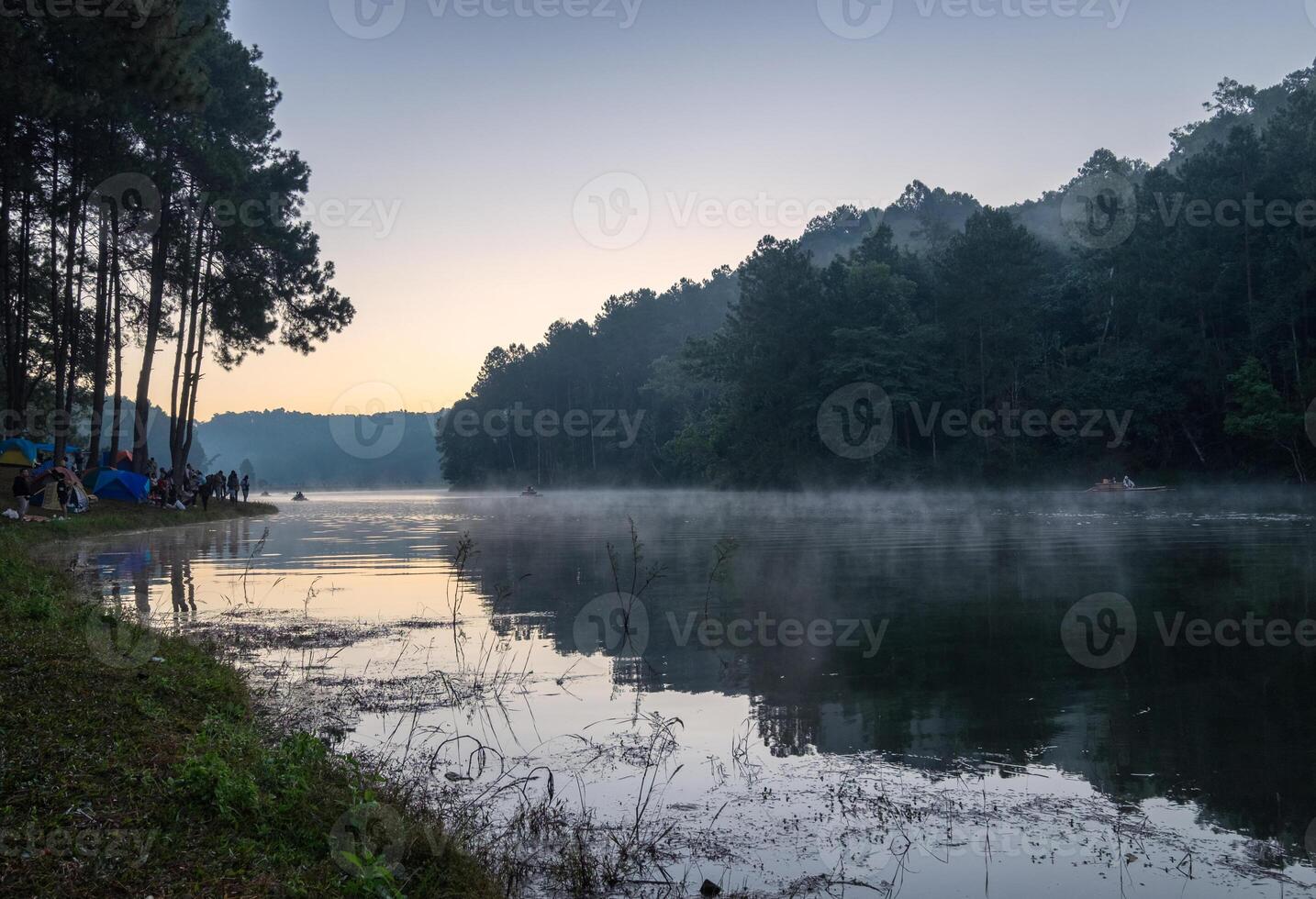 Viewpoint pine forest on foggy reservoir at dawn photo