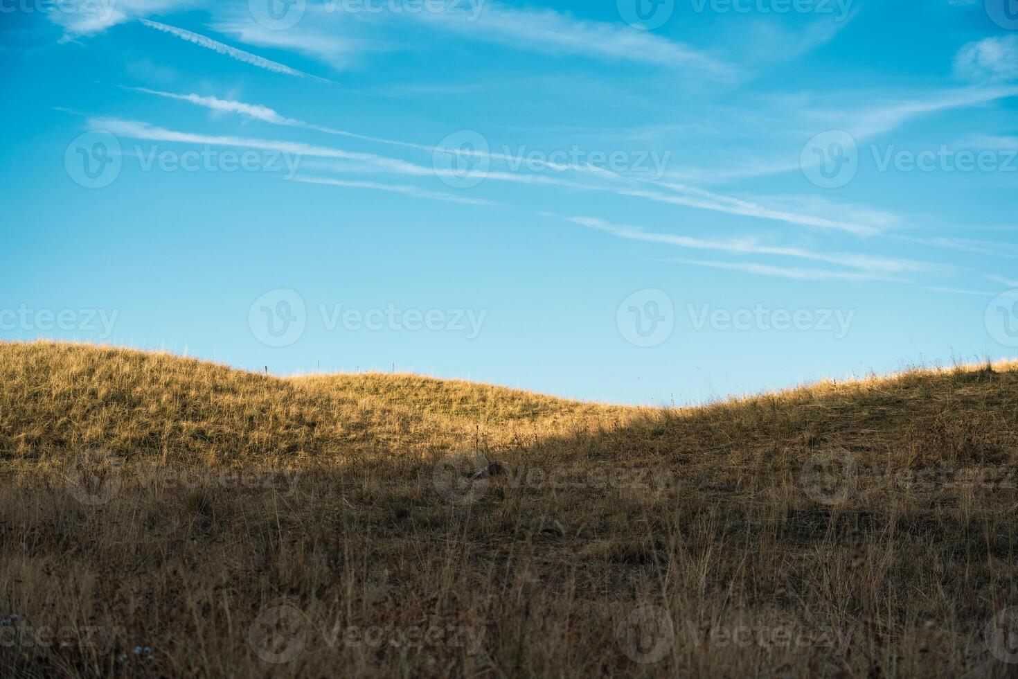 Golden meadow hill with blue sky in countryside photo