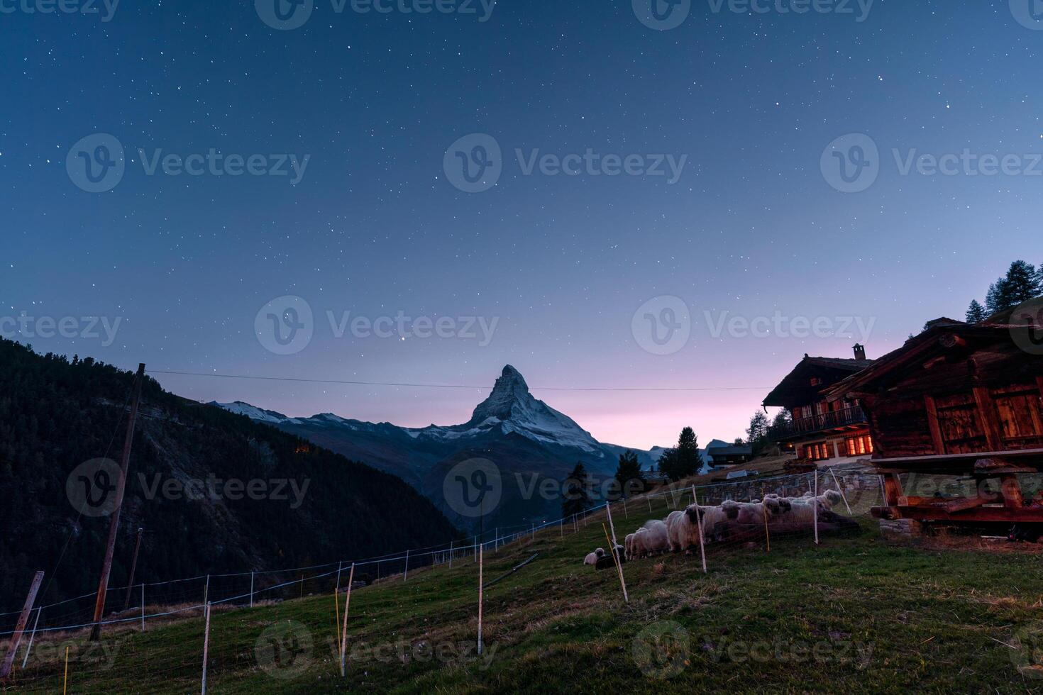 Night scene of Matterhorn mountain with starry and flock of sheep in stall by wooden hut at Zermatt, Switzerland photo