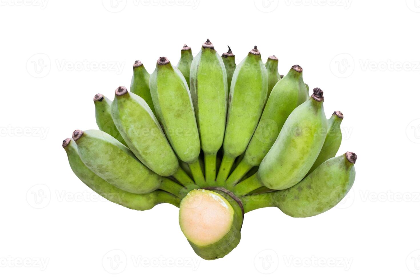 Banana unripe one bunch on background photo