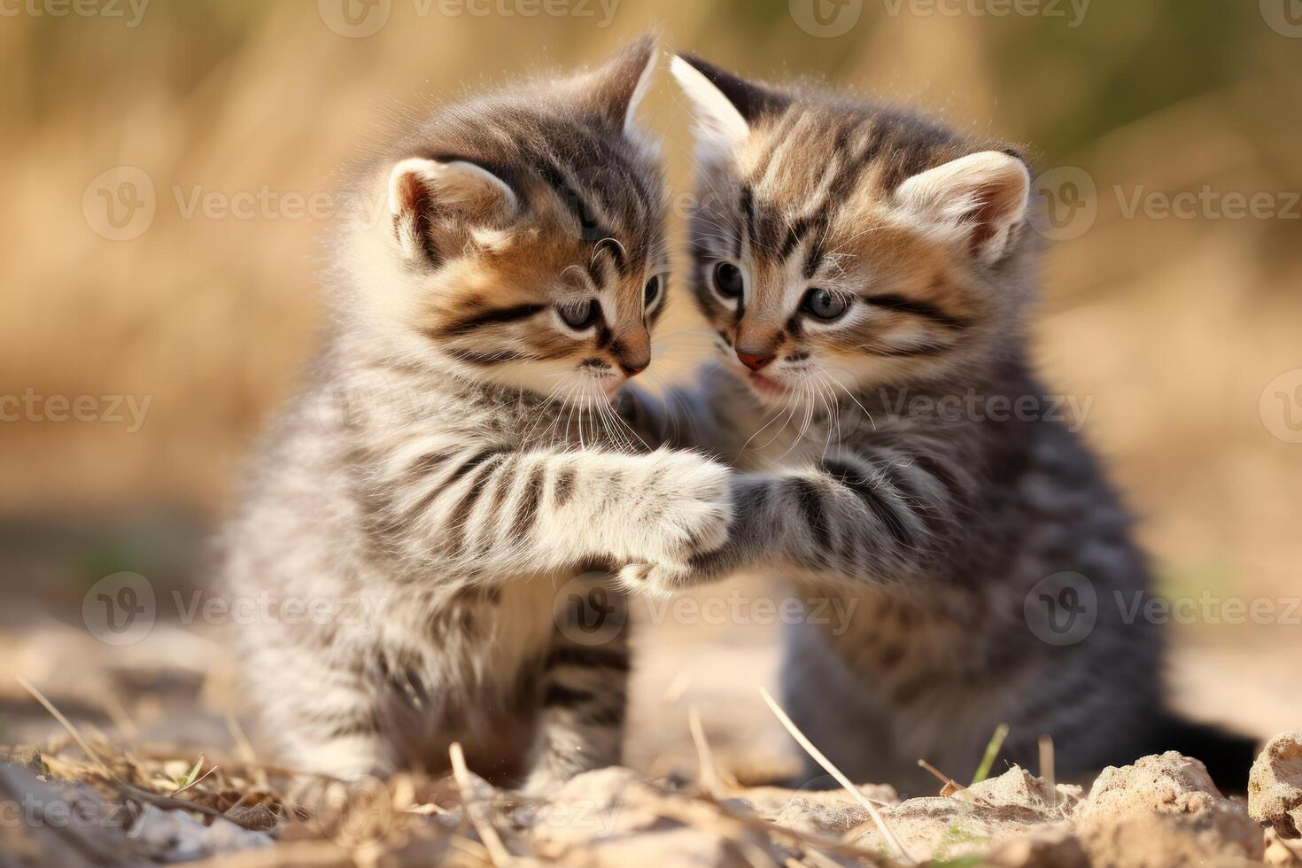 AI generated Pair of playful kittens playing in the garden photo