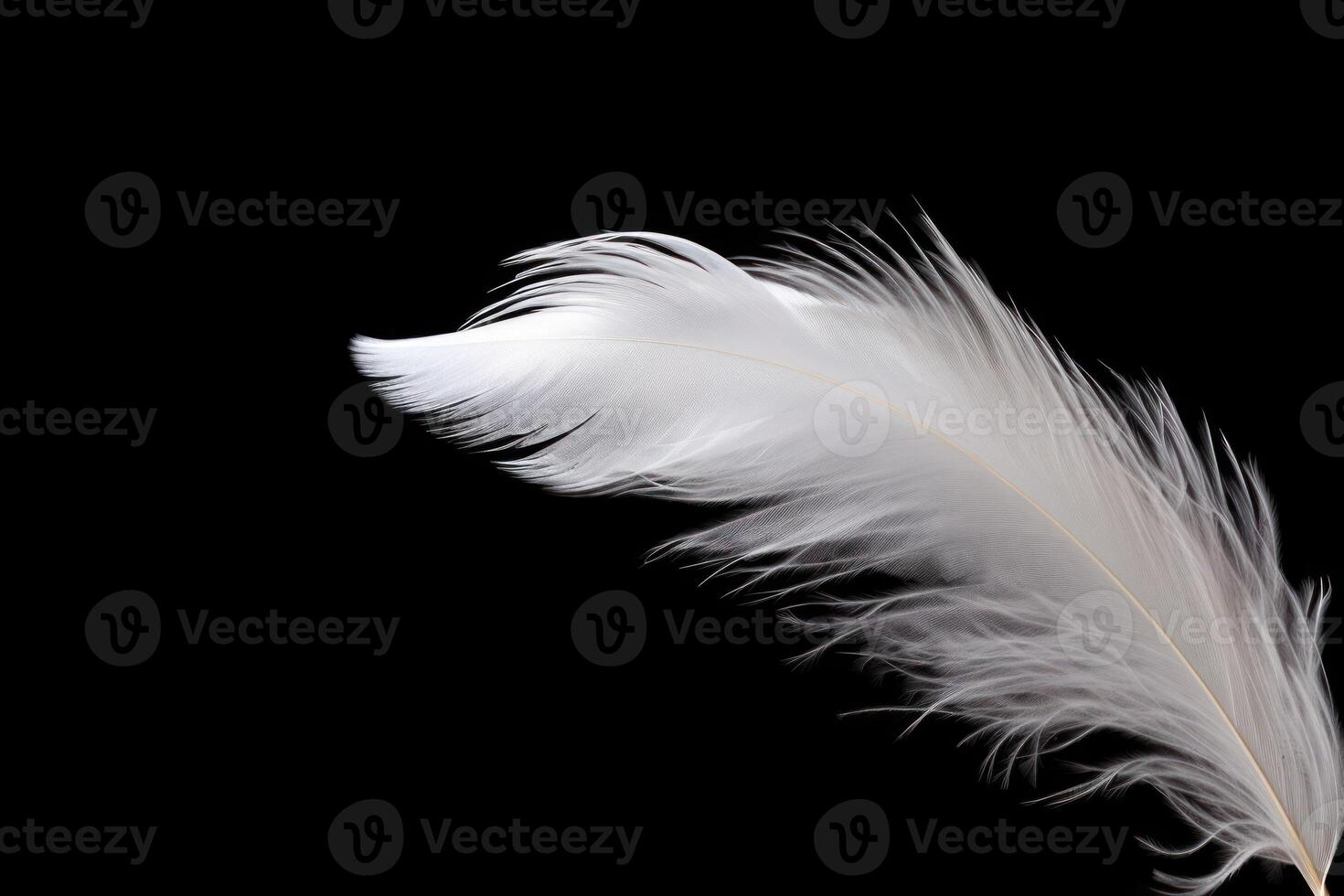 AI generated Fluffy white feather on black background photo