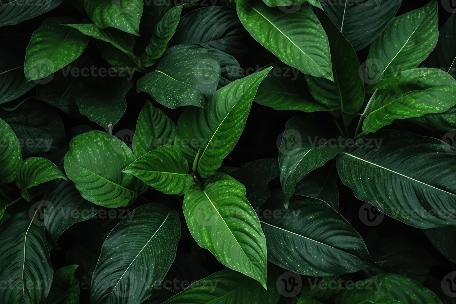 AI generated Dark green leaves in a garden represent the natural environment ecology and greenery photo