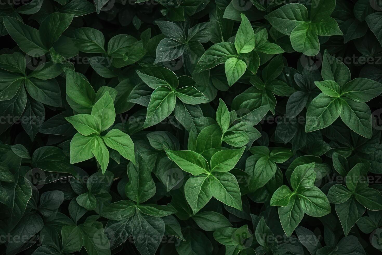 ai generado oscuro verde hojas en un jardín representar el natural ambiente ecología y verdor foto
