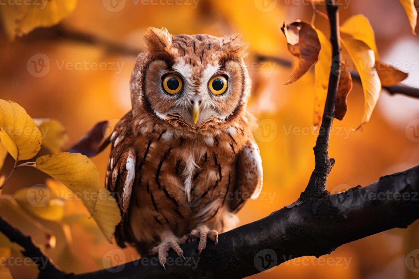 AI generated Curious Owl on Branch photo