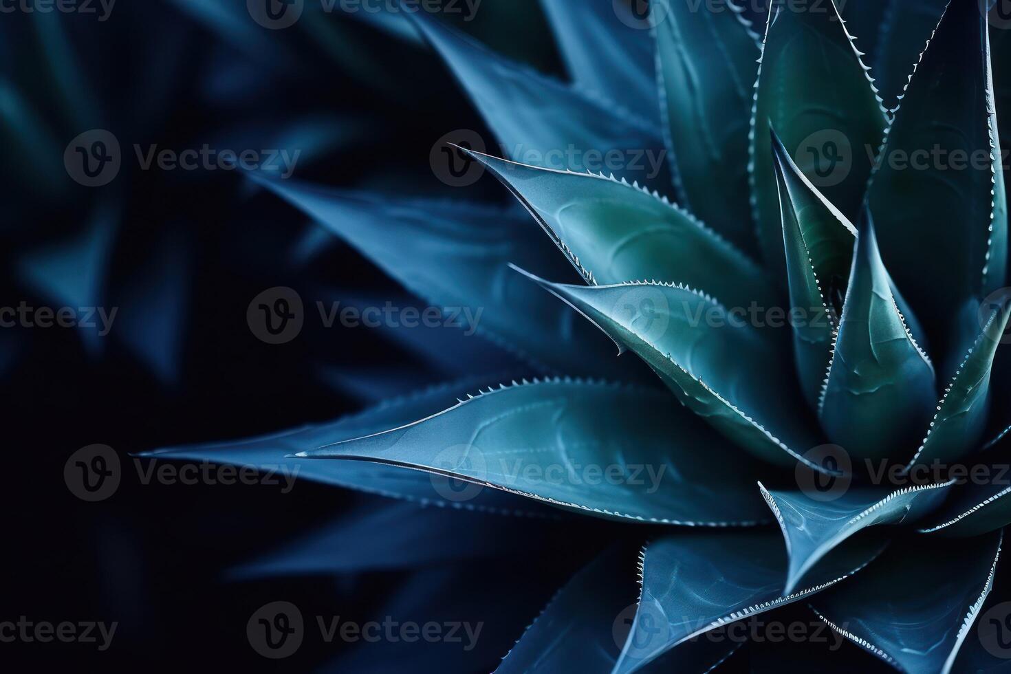 AI generated Dark blue toned abstract background with an agave cactus photo
