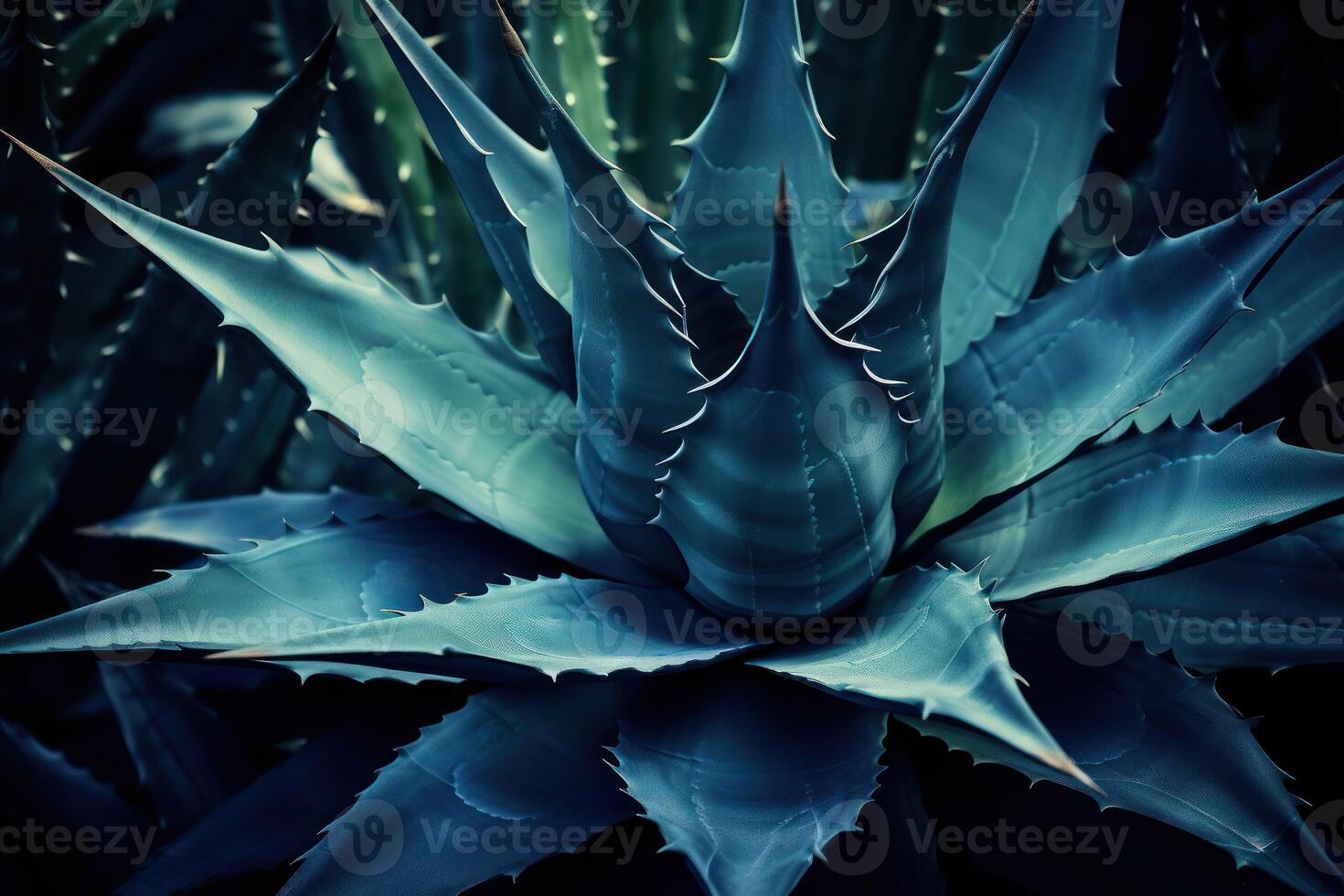 AI generated Dark blue toned abstract background with an agave cactus photo