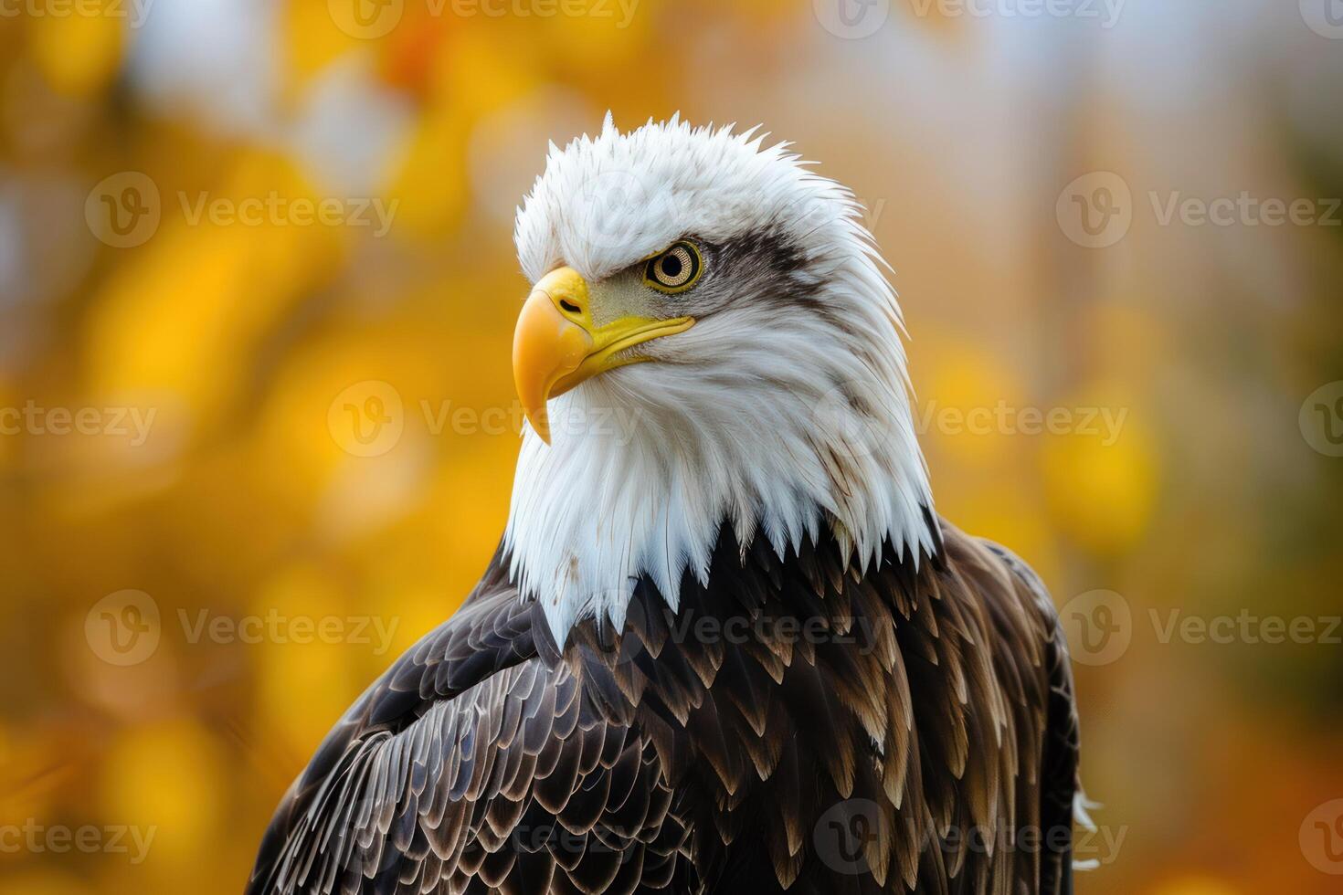 AI generated Shot of an eagle stoic gaze epitomizing the spirit of the untamed wilderness photo