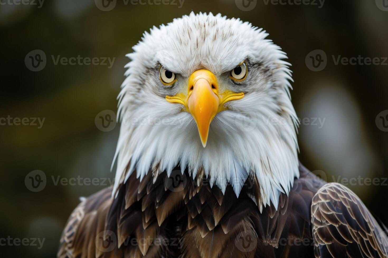 AI generated Shot of an eagle stoic gaze epitomizing the spirit of the untamed wilderness photo