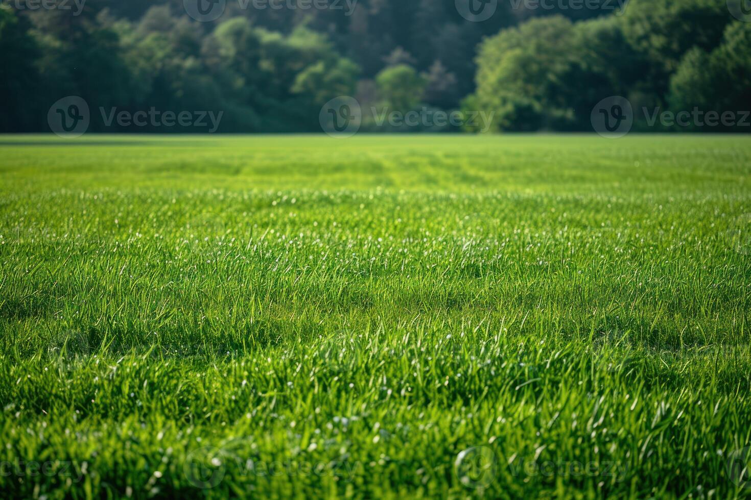 ai generado un grande césped campo foto