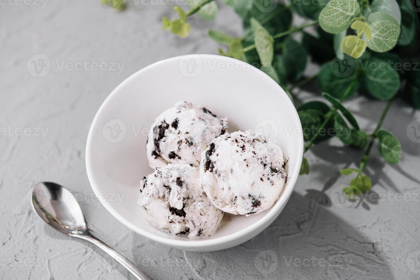 Homemade ice cream with chocolate crumb photo