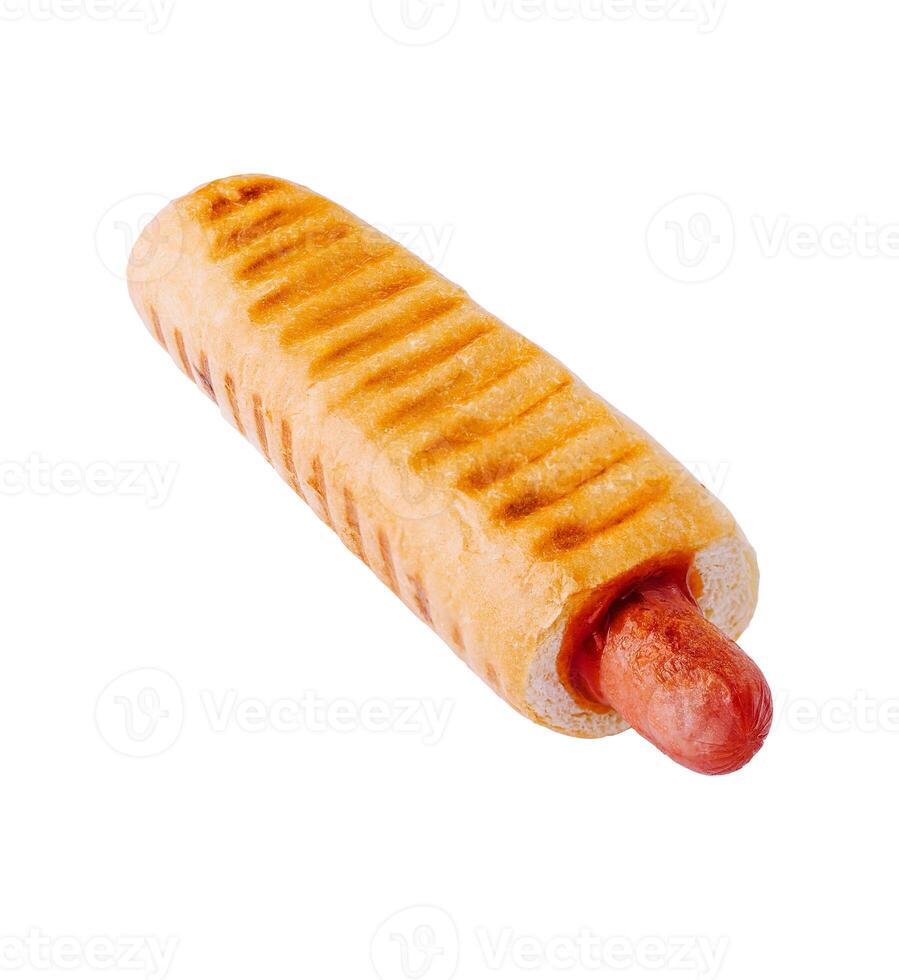 hot dog isolated on white background photo