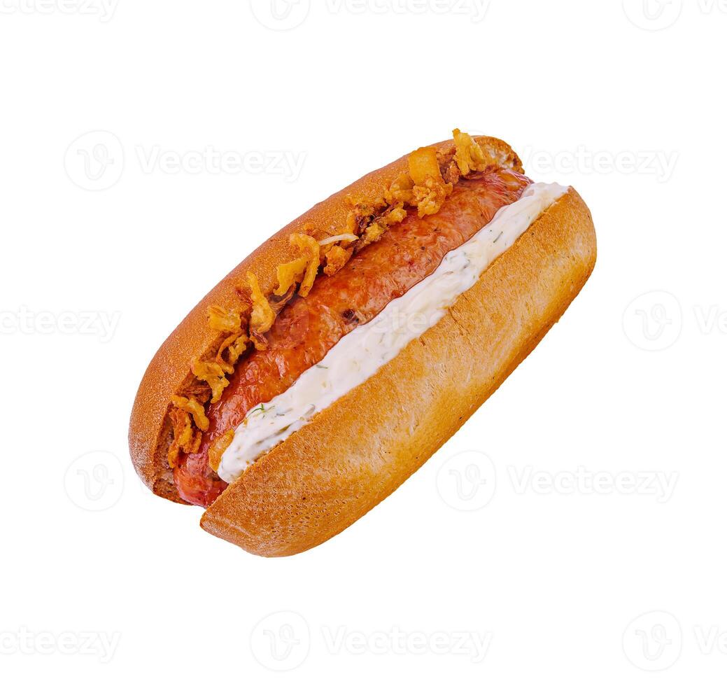 Hot dog with the most crunchy onions photo