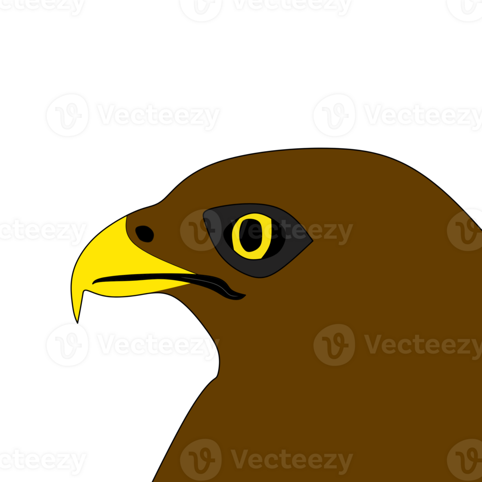close up of an eagle's head png