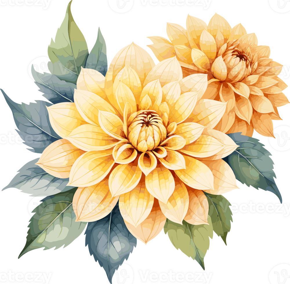AI generated Yellow Dahlia flowers watercolor style illustration isolated in transparent background png