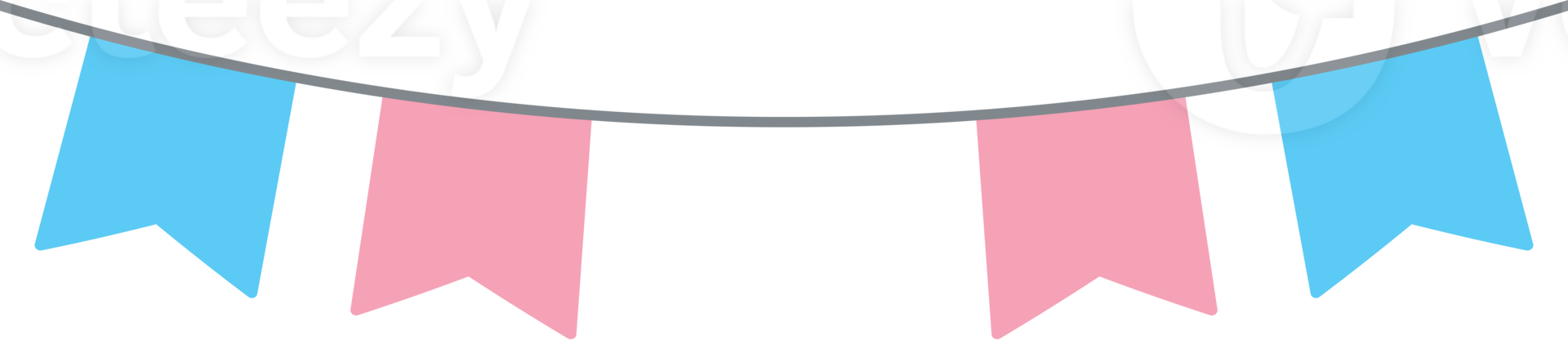 Transgender flag party buntings. LGBTQIA concept. Flat design illustration. png