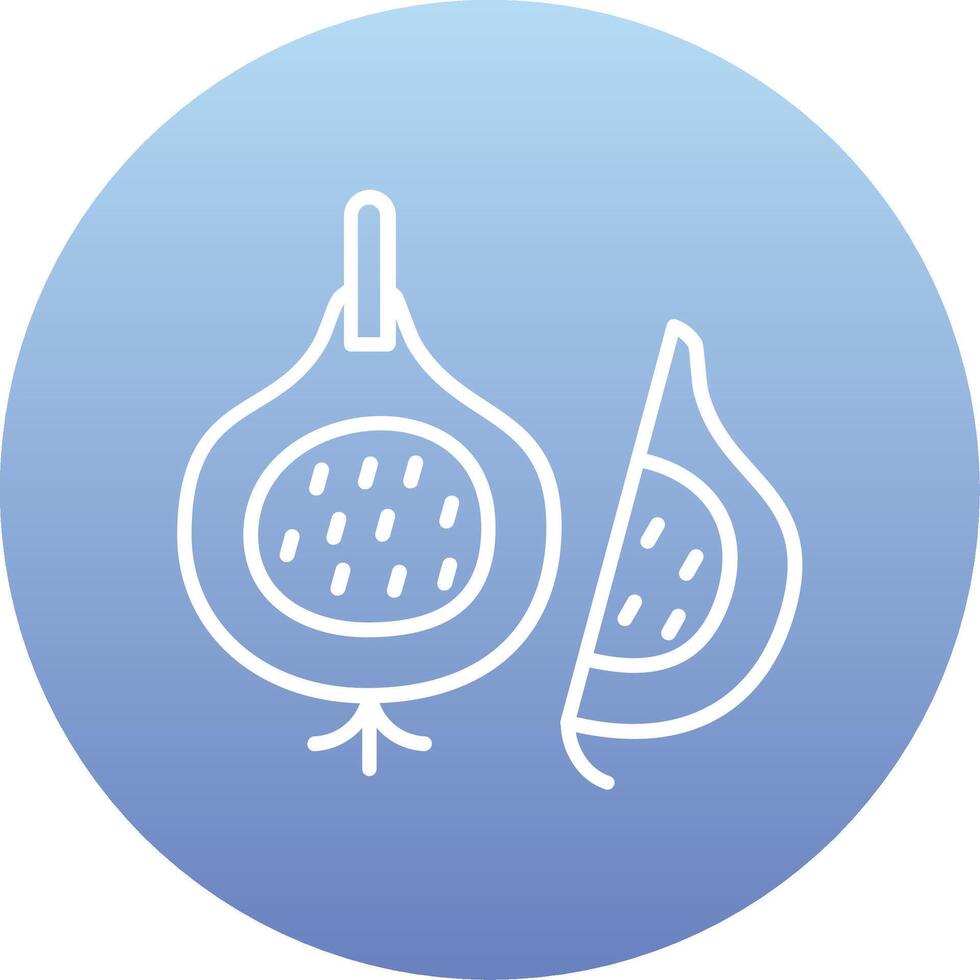 Fig Vector Icon