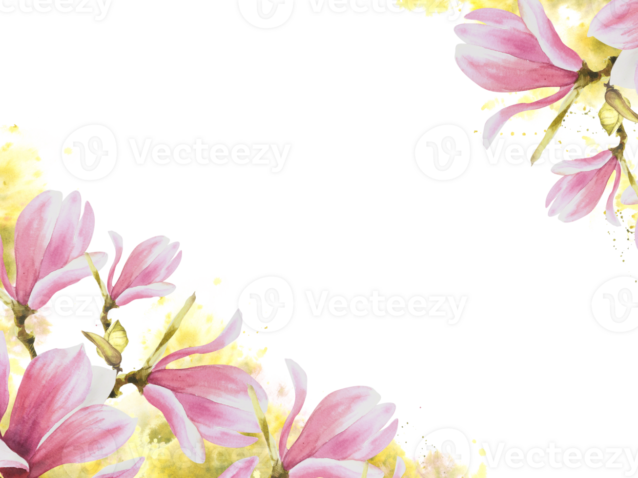 Floral frame, banner Watercolor pink magnolias spring flowers, buds, leaves Hand painted illustration background with green stains, splashes. Wedding invitations, greeting card template png