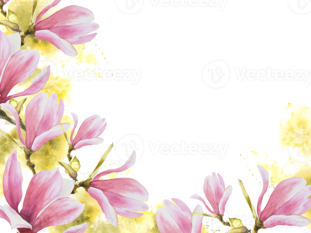 Floral frame, banner Watercolor pink magnolias spring flowers, buds, leaves Hand painted illustration background with green stains, splashes. Wedding invitations, greeting card template png