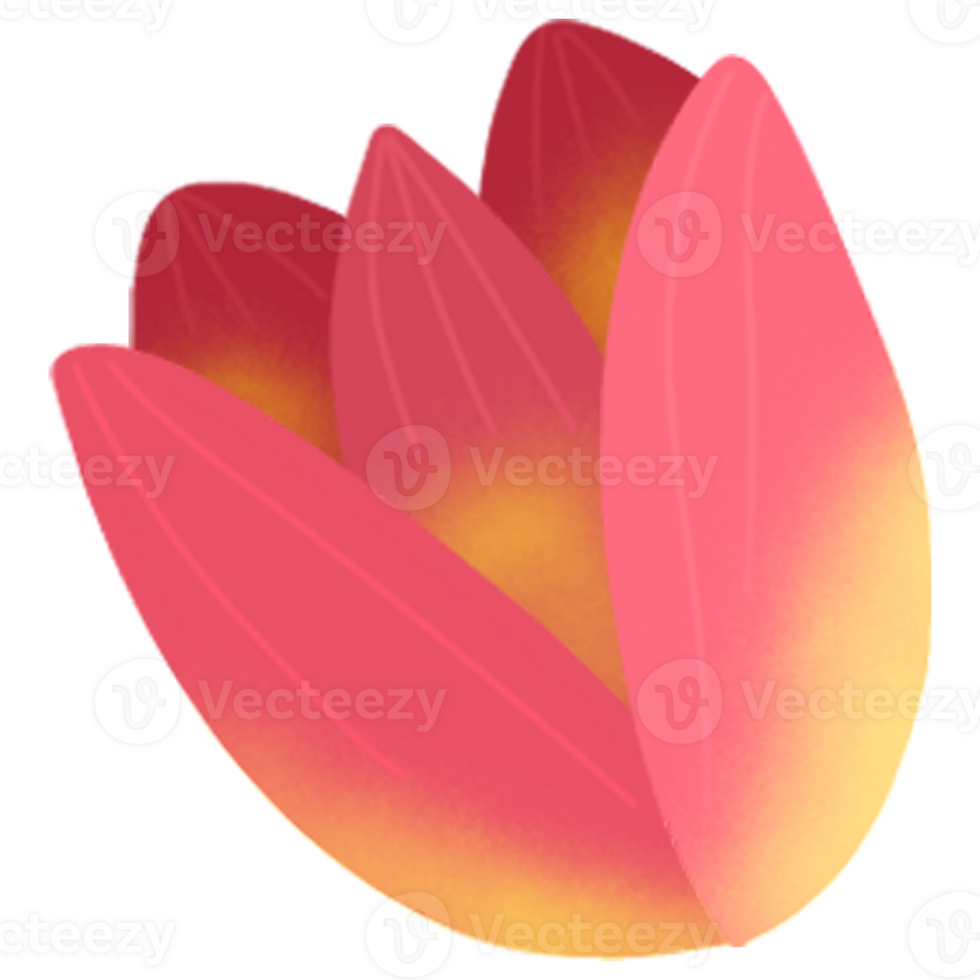 beautiful tulips in the garden png