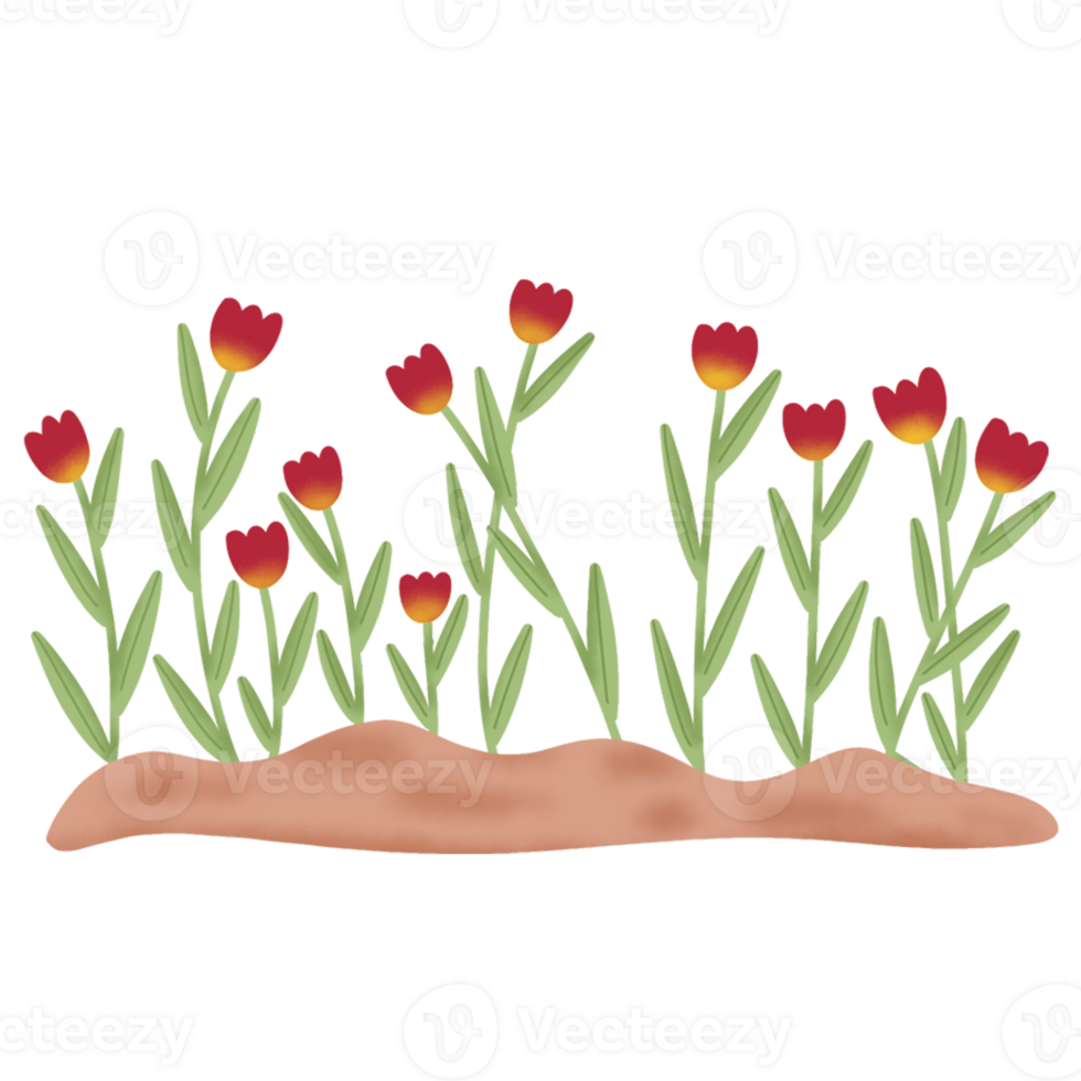 beautiful flower garden 37300904 PNG