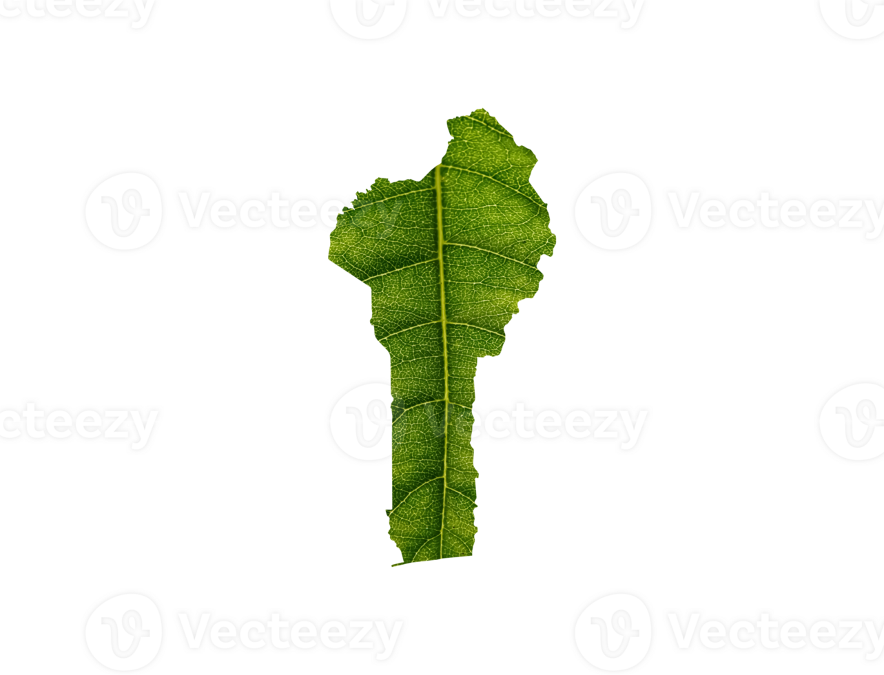 Benin map made of green leaves, concept ecology Map green png