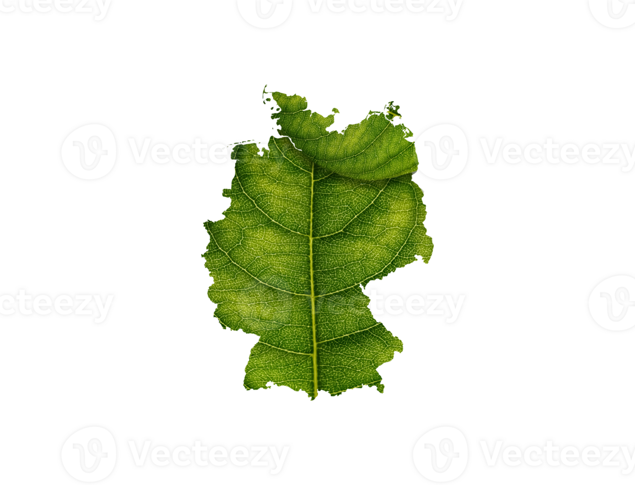 Deutschland Karte gemacht von Grün Blätter Ökologie Konzept png