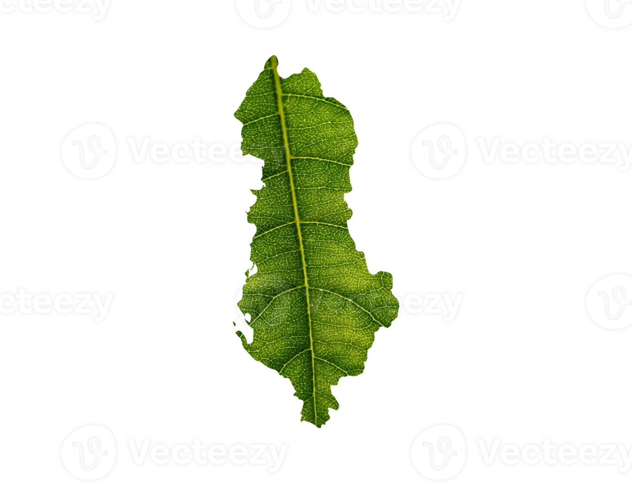 Albania map made of green leaves ecology concept png