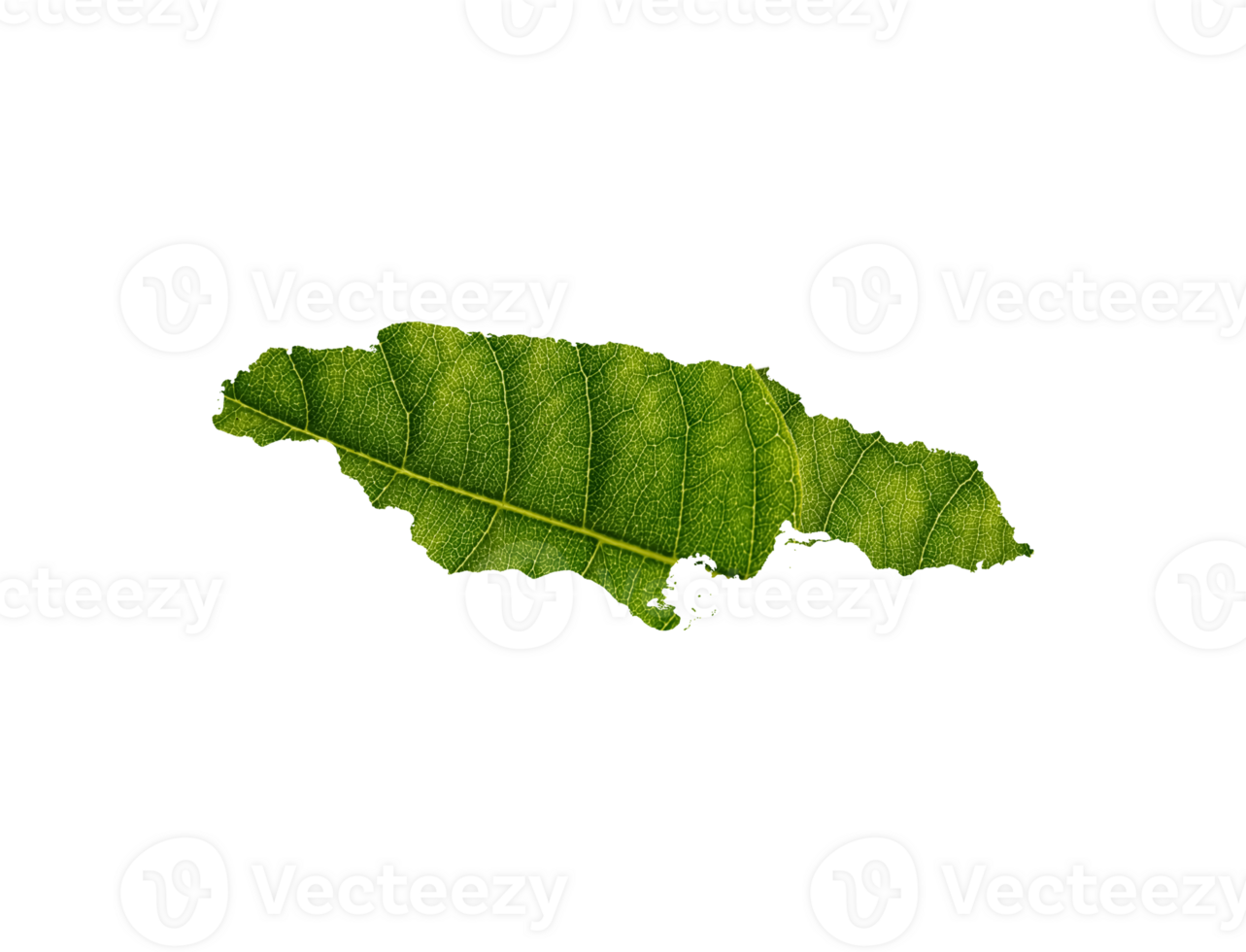 Jamaica map made of green leaves ecology concept png