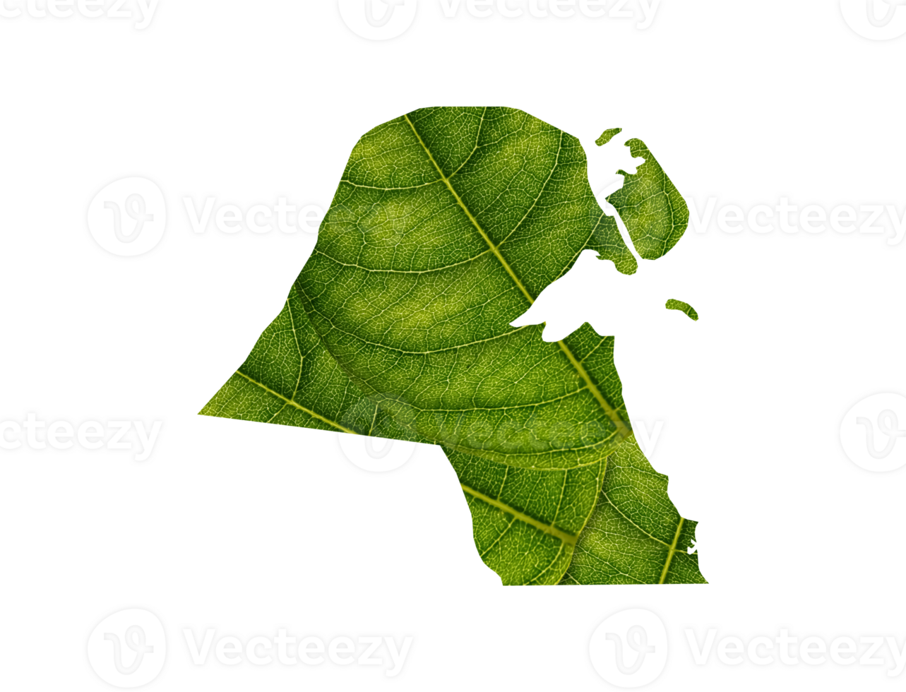 Kuwait Karte gemacht von Grün Blätter Ökologie Konzept png