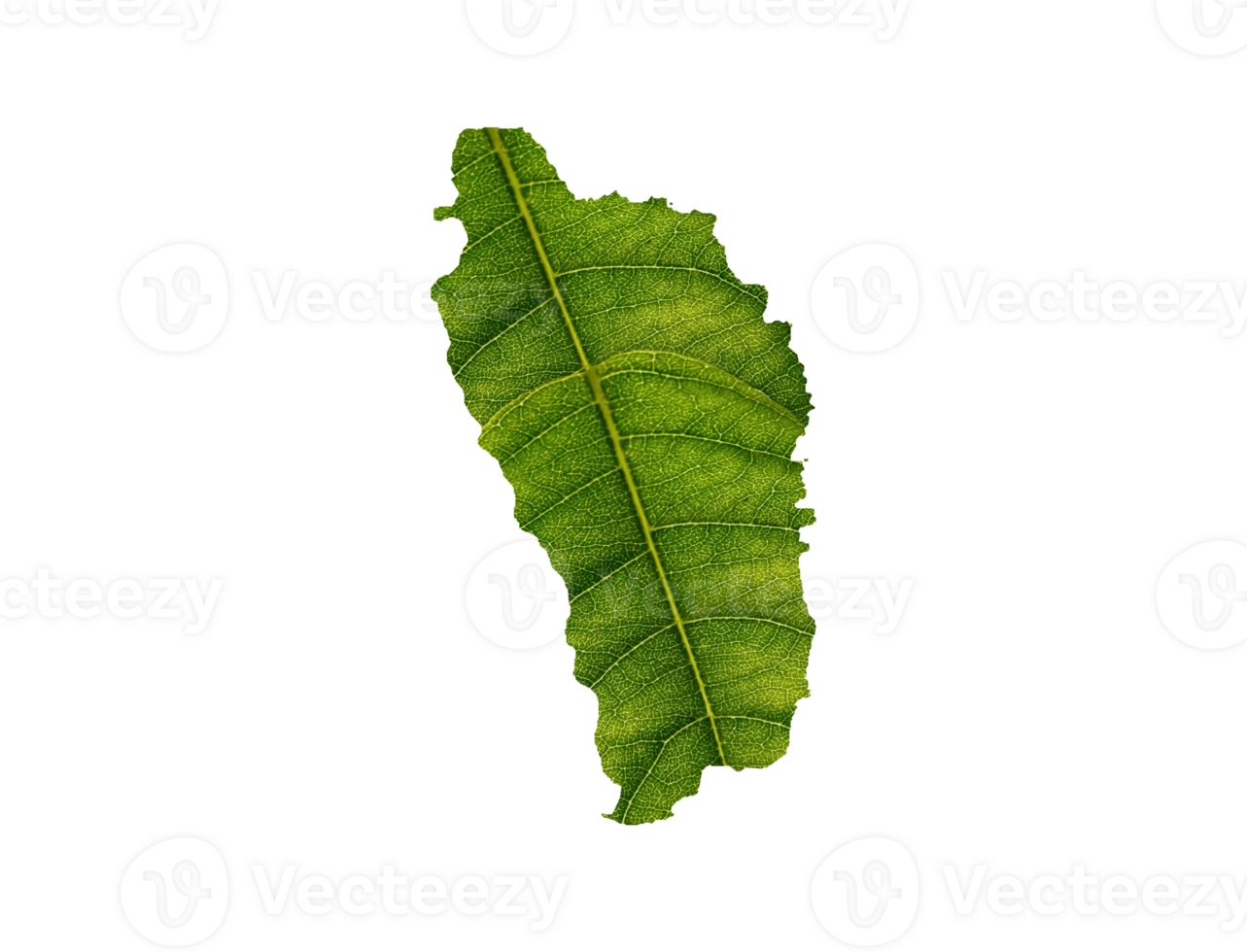 Dominica map made of green leaves ecology concept png