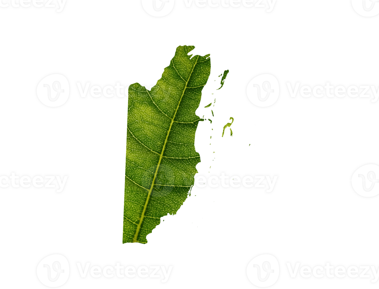 belize Karte gemacht von Grün Blätter, Konzept Ökologie Karte Grün Blatt png