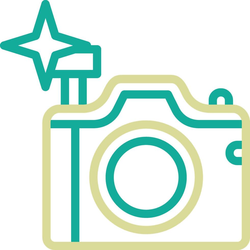 Flash Camera Vector Icon