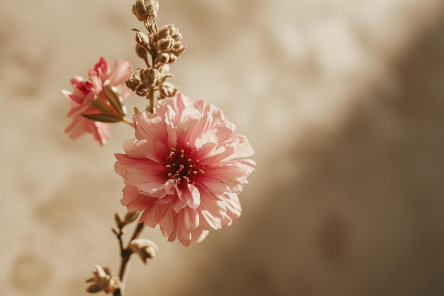 AI generated a small single pink flower is set against a beige background photo