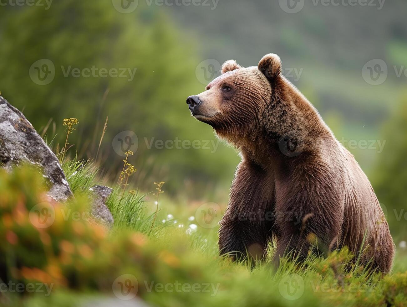 ai generado un marrón oso en un natural, verde ambiente, aparentemente observando sus alrededores foto