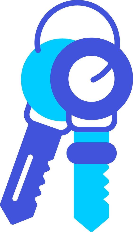 Keys Vector Icon