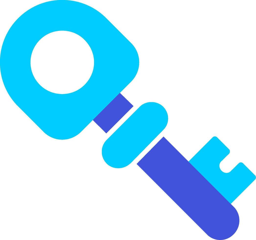 Key Vector Icon