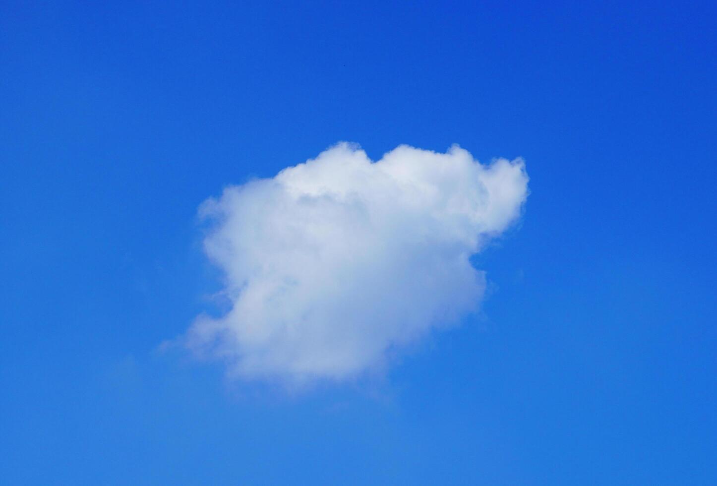 Blue sky and Summer white clouds background. photo