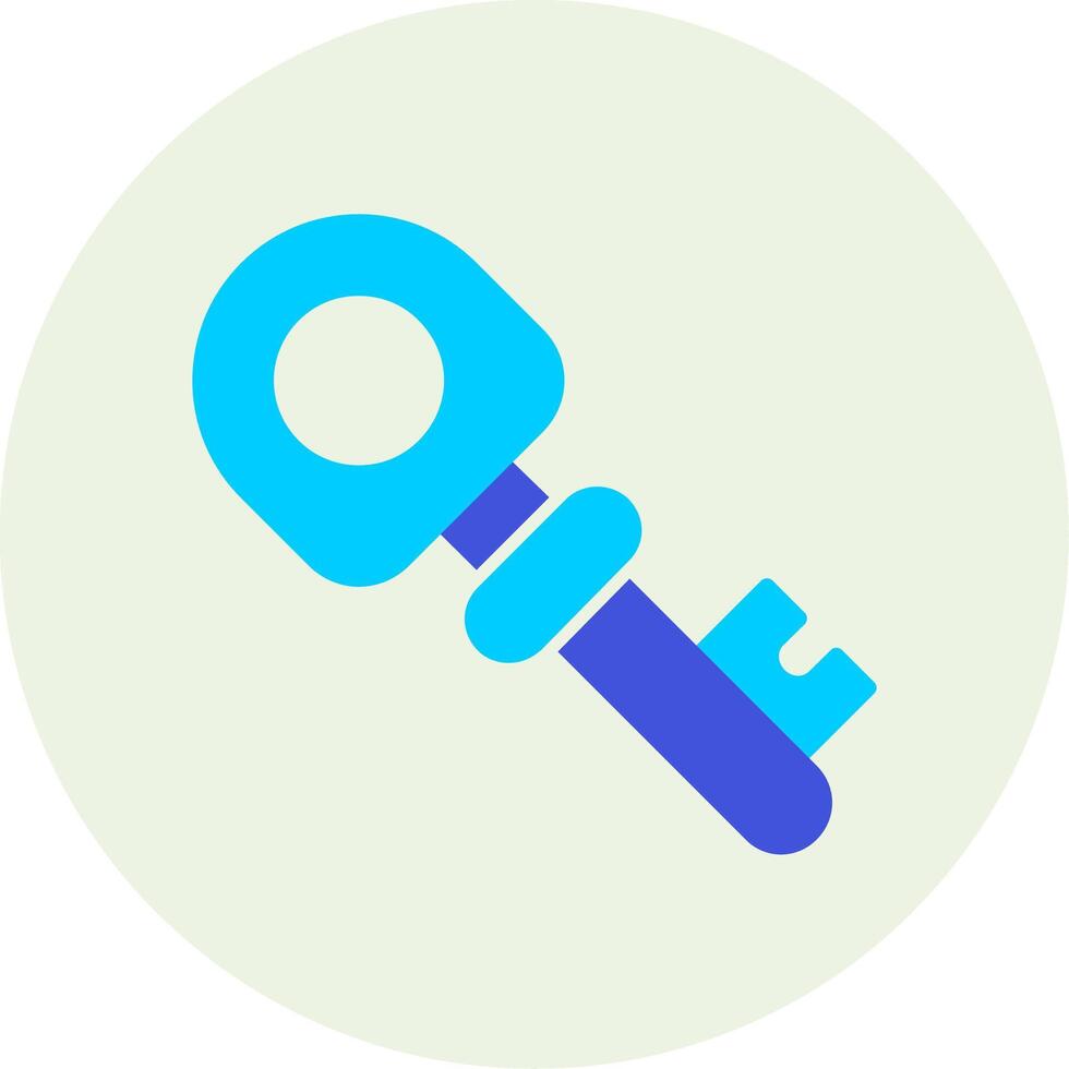 Key Vector Icon