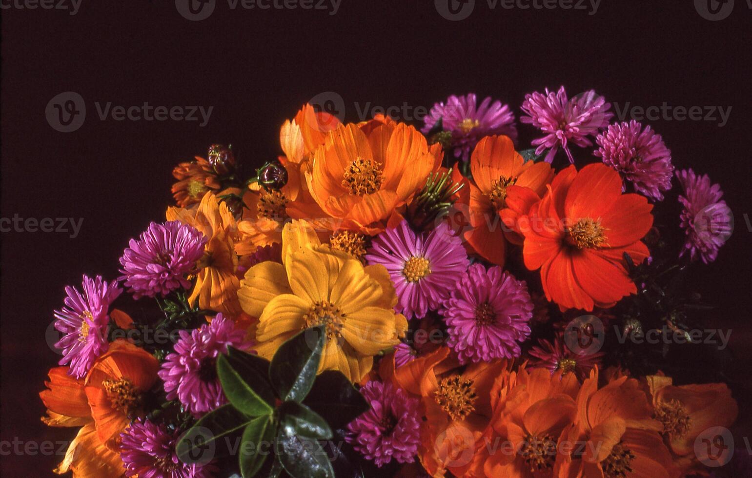 a vase of flowers with a black background photo