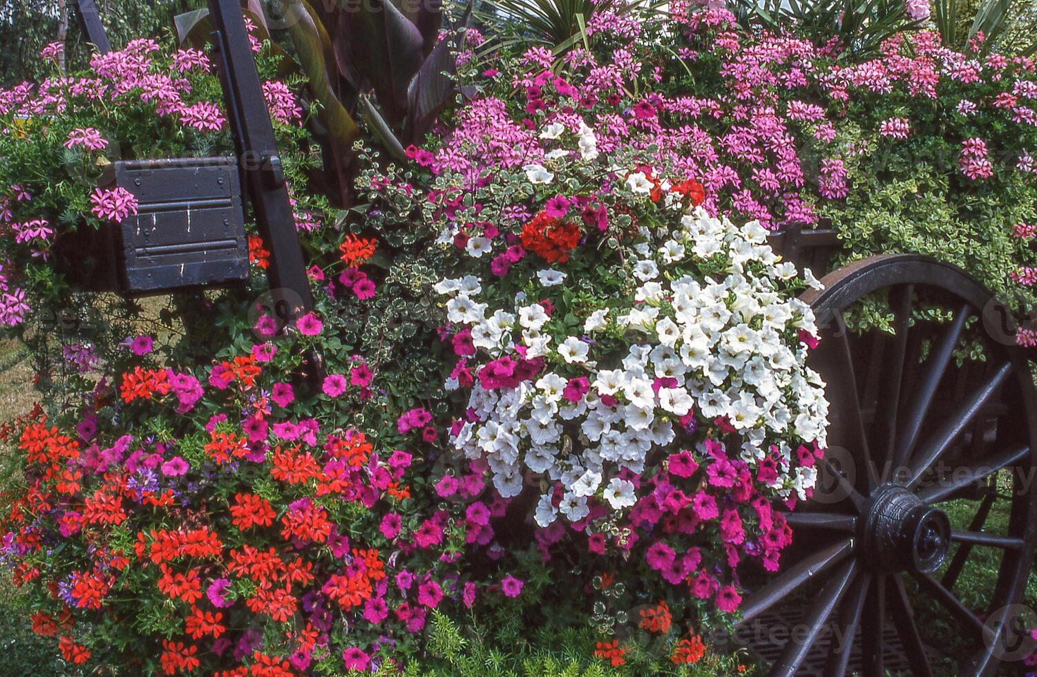 un vagón lleno de flores es estacionado en frente de un edificio foto