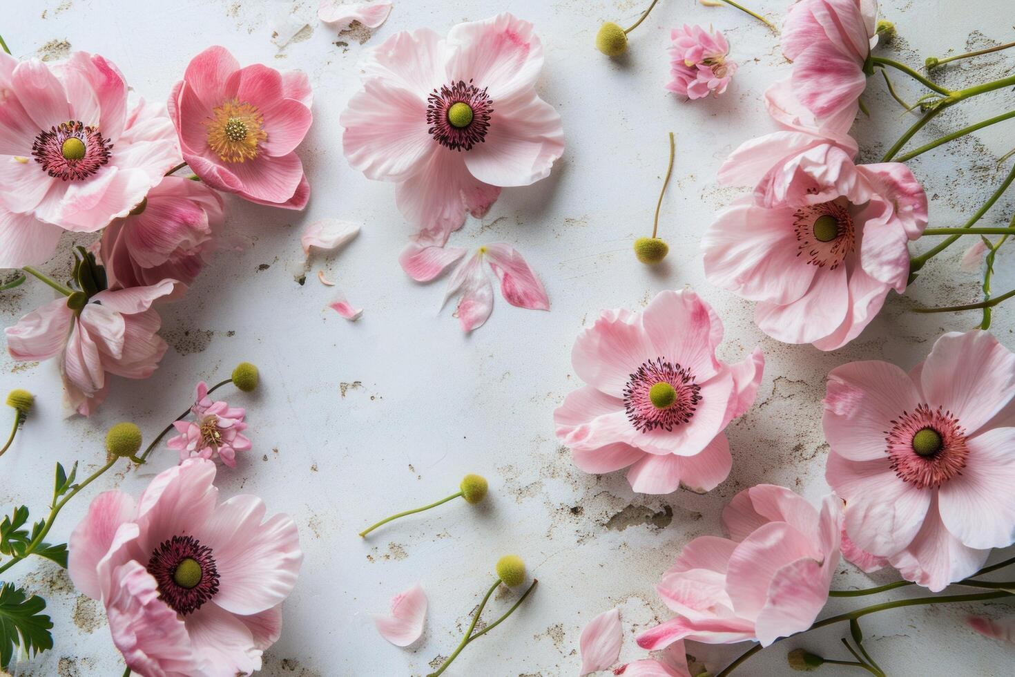 AI generated pink anemones on a white background photo