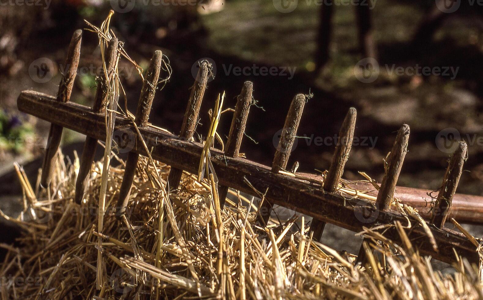 a hay rake sitting on top of some hay photo