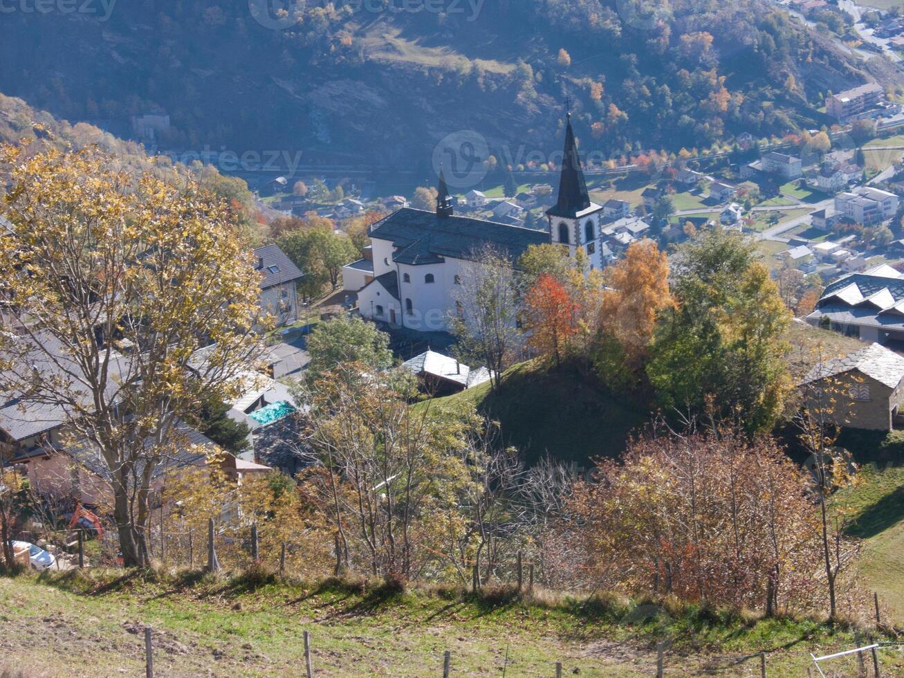 a hillside with trees photo